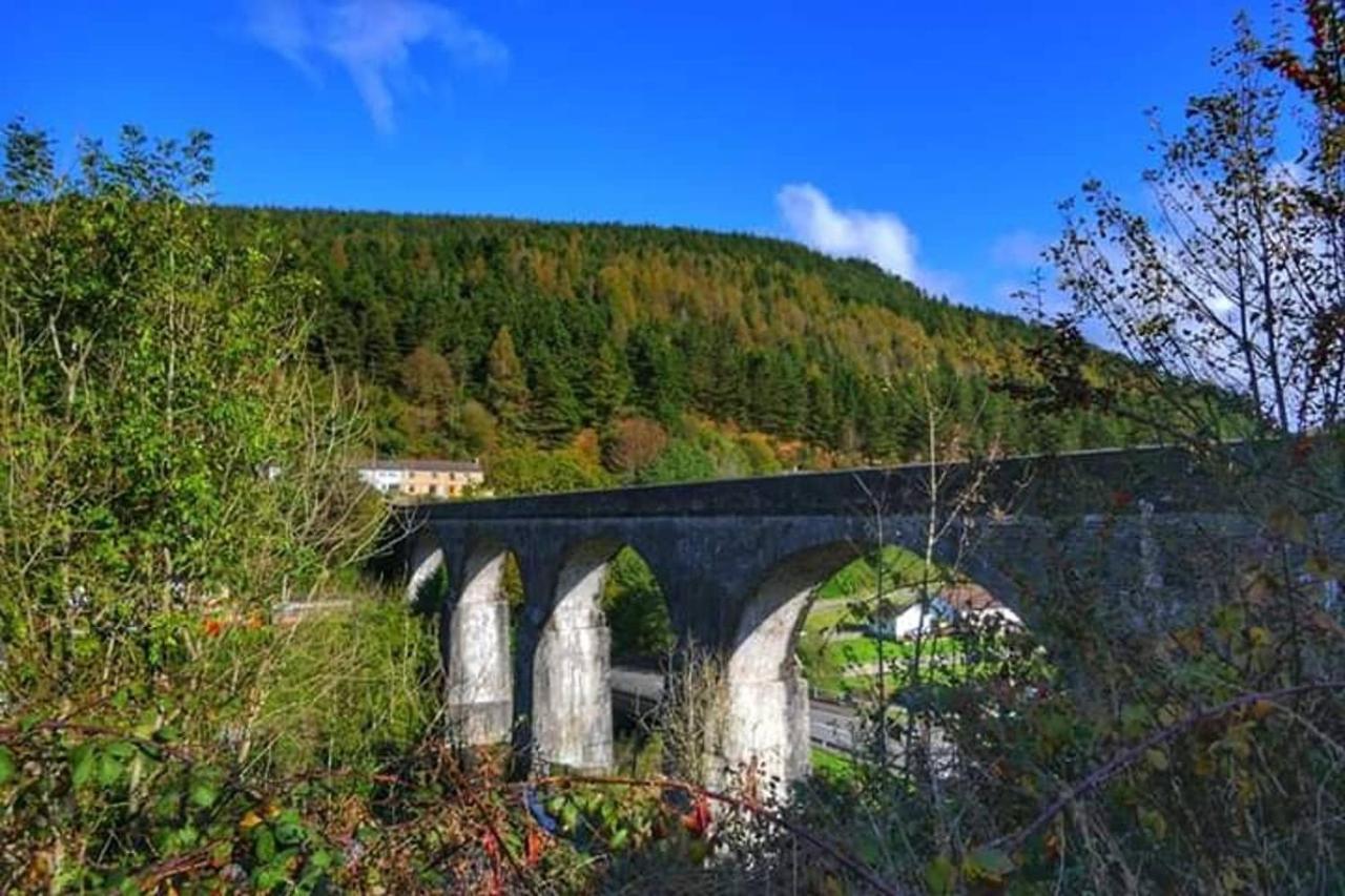 Selah Cottage, 21 Queen Street Pontrhydyfen Eksteriør billede
