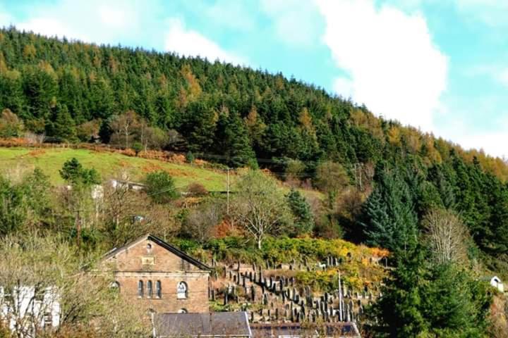Selah Cottage, 21 Queen Street Pontrhydyfen Værelse billede