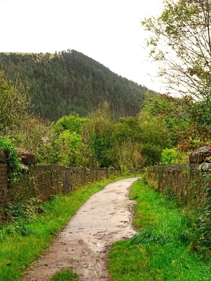 Selah Cottage, 21 Queen Street Pontrhydyfen Værelse billede