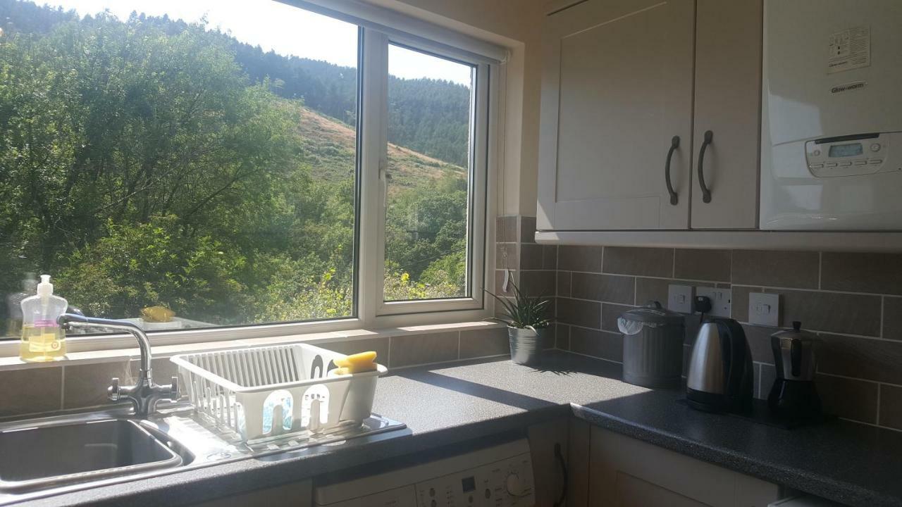 Selah Cottage, 21 Queen Street Pontrhydyfen Eksteriør billede